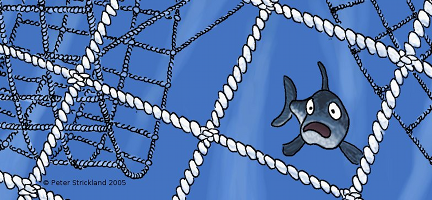 fish surrounded by nets