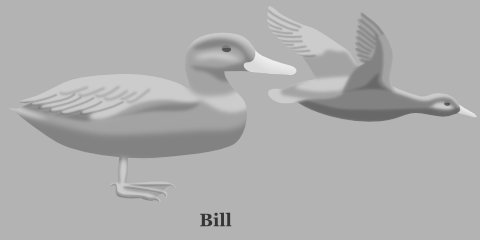 Duck Bill