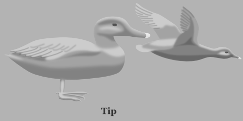 Duck Bill tip